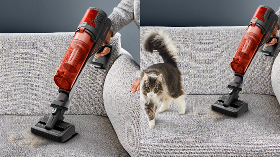 IDEAL PARA DUEÑOS DE MASCOTAS